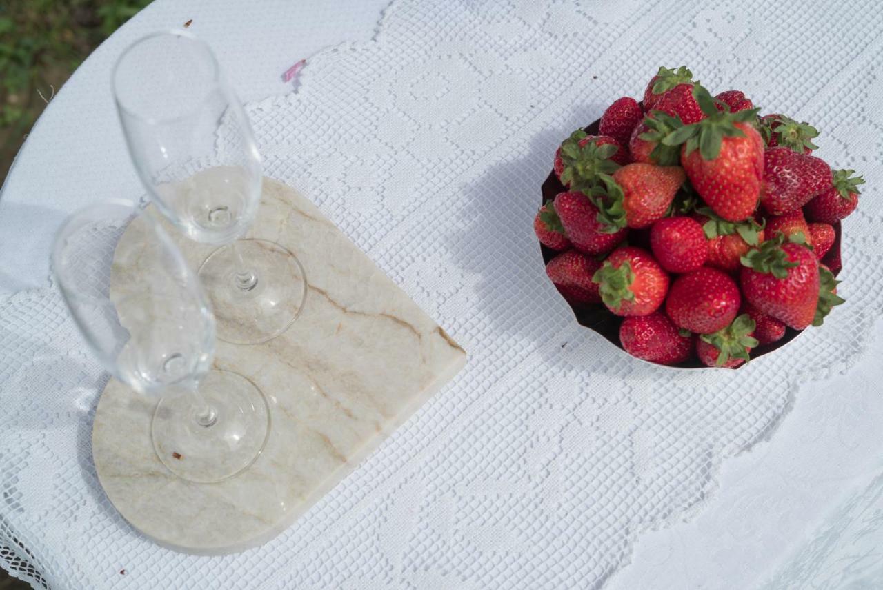 Alojamento de Acomodação e Pequeno-almoço La Serenissima *